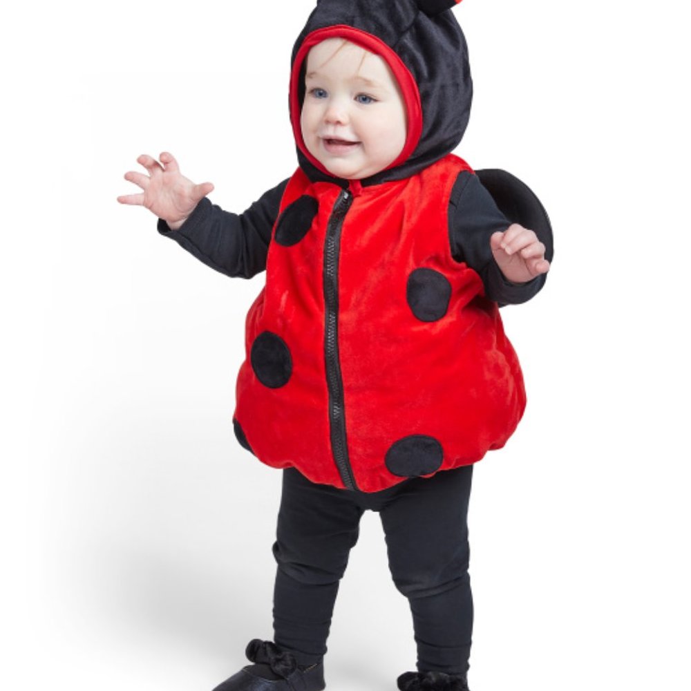 Baby Ladybug Costume with Wings 12m